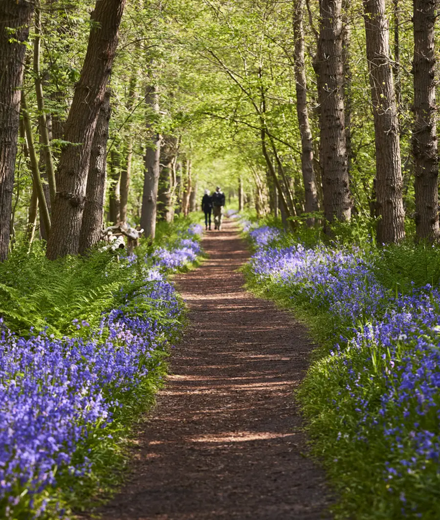 Couple on path